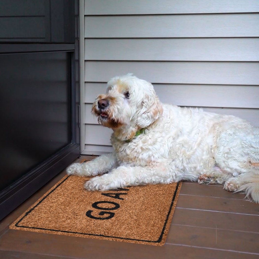 Do Not Forget The WINE! Door Mat Doormat GO HOME 70 x 40 Coconut Coir Mat